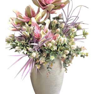 סידור מגנוליות ג'מבו